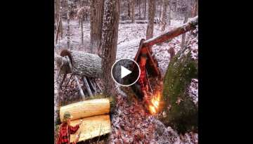 WINTER BUSHCRAFT BUILD NATURAL PRIMITIVE BARK ROOF SHELTER Campfire Cooking in Snow #Shorts