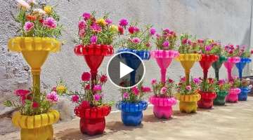 Recycle Plastic Bottles into Beautiful Moss Roses Flower Pots For Garden | Moss Rose from Cutting...