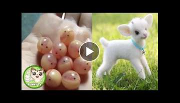 Cute baby animals Videos Compilation cute moment of the animals - Cutest Animals #1