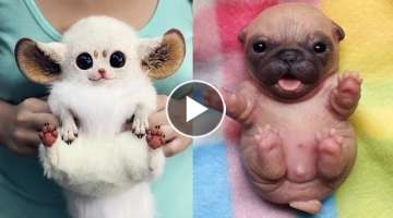 Cute baby animals Videos Compilation cute moment of the animals - Cutest Animals #18