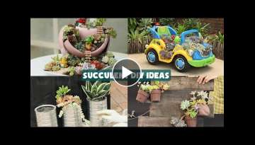 19 Succulent DIY Ideas| 19 Ý tưởng trang trí sen đá tuyệt đẹp| 多肉植物| 다육�...