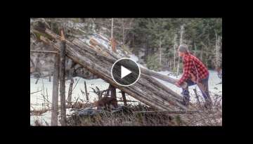 Winter Bushcraft Camp Build Natural Log Lean to Shelter Campfire cooking Steak on Rock #Shorts