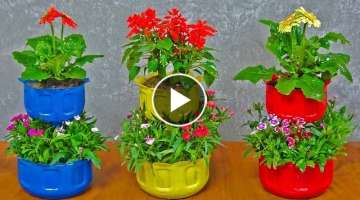 Recycle Plastic Bottles into Three Flower Pots For Beautiful Garden | Diy Tower Garden