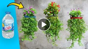 Hanging Garden Plants in Plastic Bottles | How to Make Amazing Hanging Plants Ideas