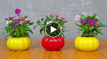 Casting Beautiful Flower Pots From Cement For Small Garden
